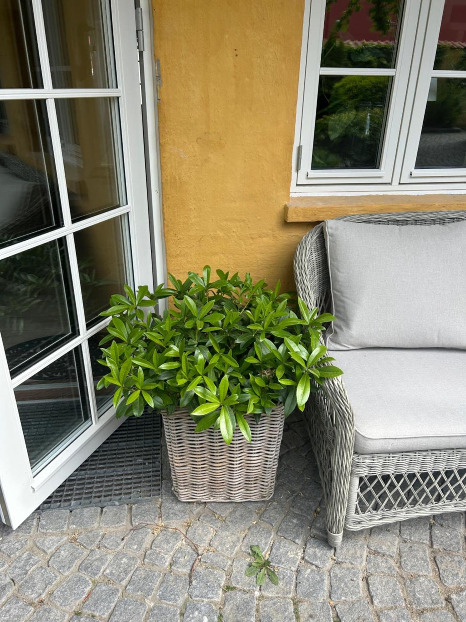 Ferienwohnung Vidunderligt Hus M/Egen Gardhave - Midt I Centrum Aalborg Exterior foto