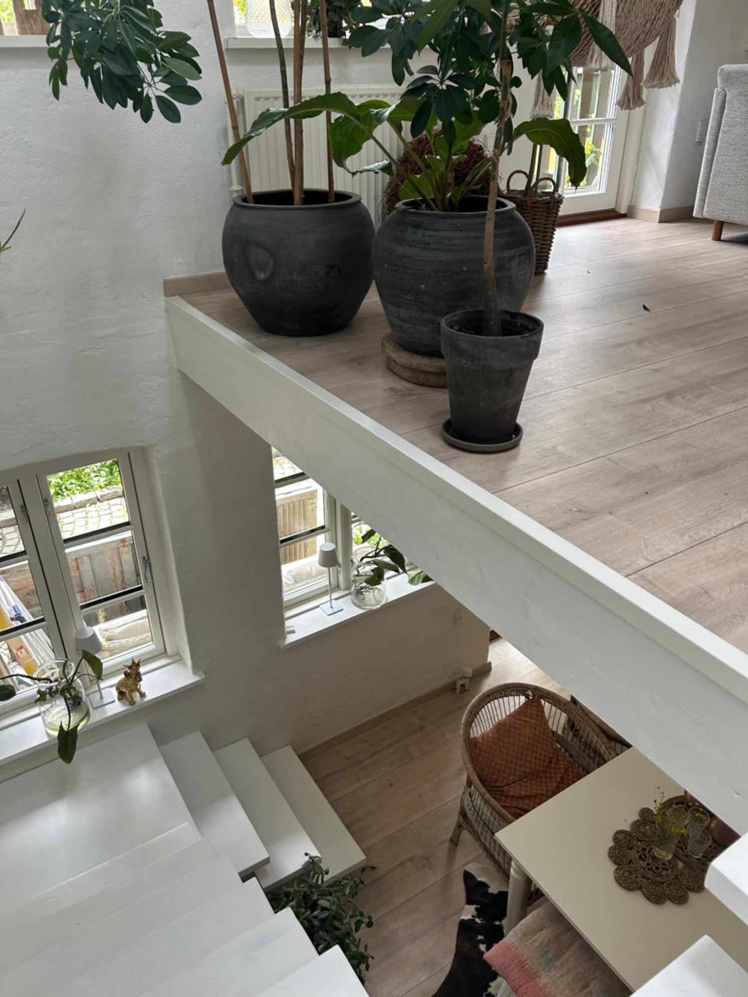 Ferienwohnung Vidunderligt Hus M/Egen Gardhave - Midt I Centrum Aalborg Exterior foto